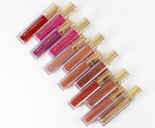 Load image into Gallery viewer, MATTE & LIPGLOSS COLLECTION