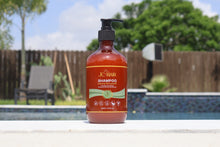 Load image into Gallery viewer, SHAMPOO y ACONDICIONADOR ROMERO + 12 EXTRACTOS